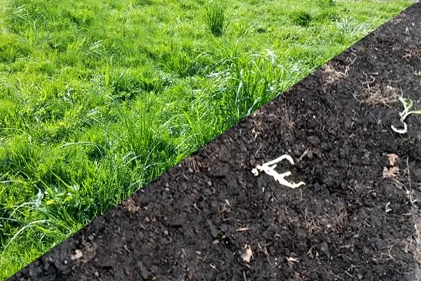 Artificial Turf Removal and Disposal in Cypress, TX